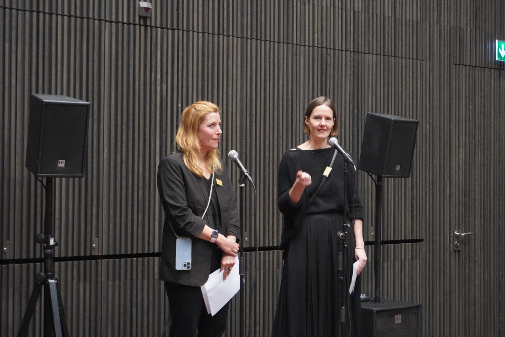 Ouverture : La photographe Claudia Link et la curatrice Sarah Martin d'AETHIK parlent de leurs expériences dans le projet lors du vernissage de "Ganz Frau".